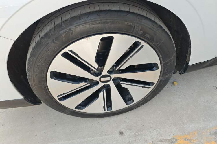 Used  E8 2024 665 km Range Rear-Drive Starship Long-Range Version