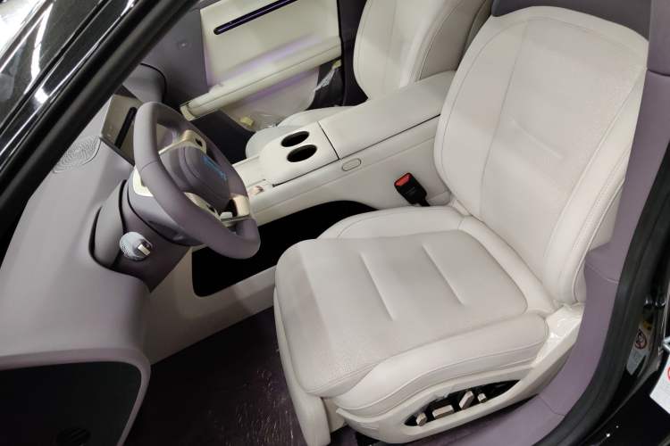 Used  06 2025 Max All-Electric Version
