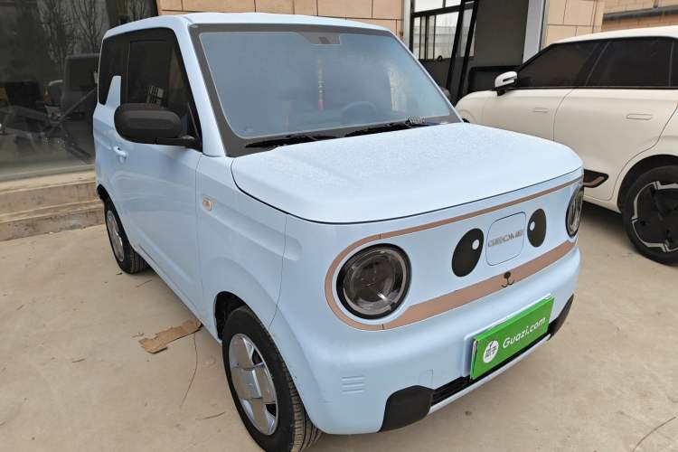 Used  Panda 2023 Panda Mini 200km Endurance Bear