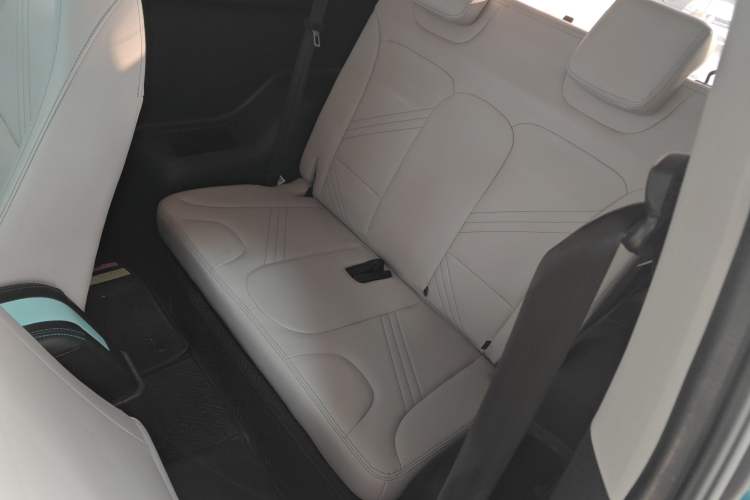 Used Chery Little Ant 2021 200 000-Yuan Ant Fan Edition Talent Version Lithium Iron Phosphate 301 km