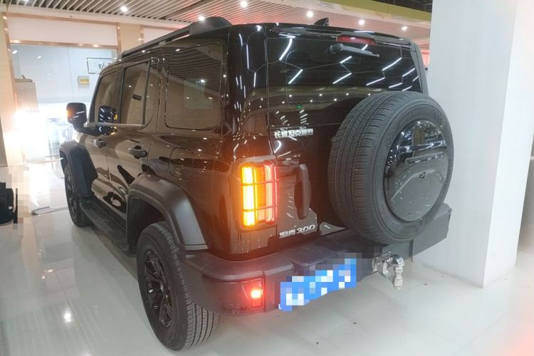 Used Tank 300 2024 2.0T Conqueror