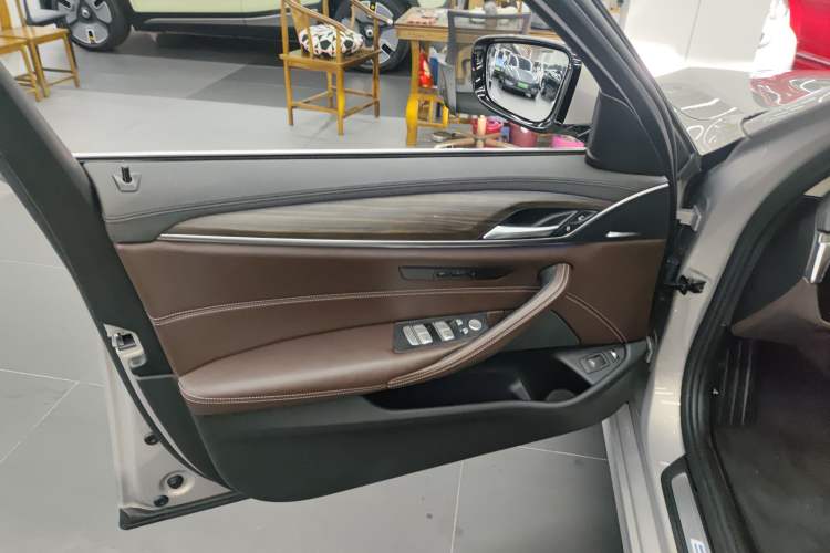 Used BMW 5 Series New Energy 2019 530Le Luxury Package
