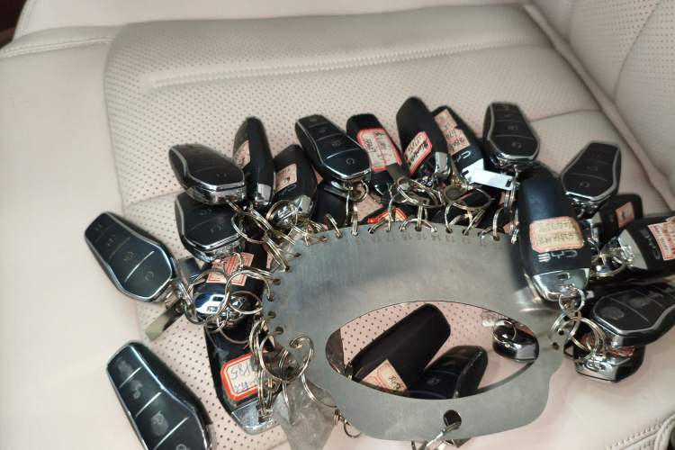 Used BYD Xia 2025 DM-i 1.5T 180km Excellence Model
