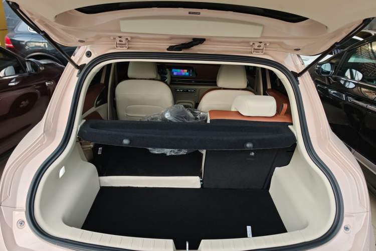 Used ORA Good Cat 2022 400km Standard Range Luxury Version Ternary Lithium