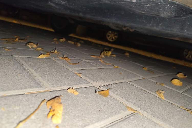 Used Volkswagen Polo 2012 1.6L Cross Polo Automatic Transmission
