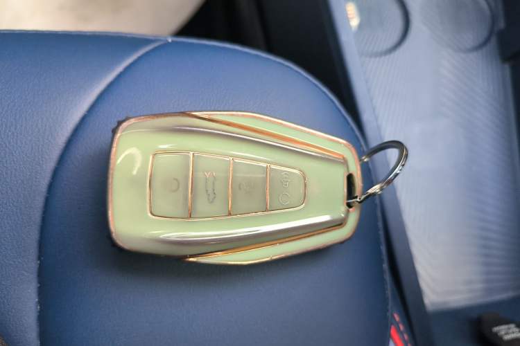 Used Geometry E Firefly 2022 401 km Linglong Tiger 4 Seats