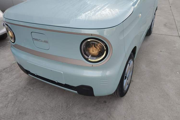 Used  Panda 2023 Panda Mini 200km Endurance Bear