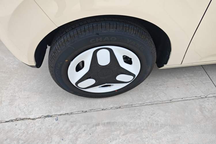 Used  Panda 2025 210 km – Yuanqi Bear
