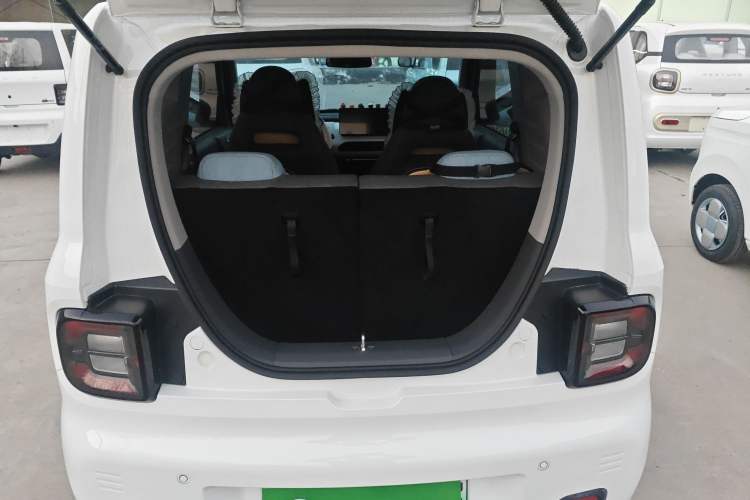 Used  Panda 2024 Panda Mini 200km Endurance Bear
