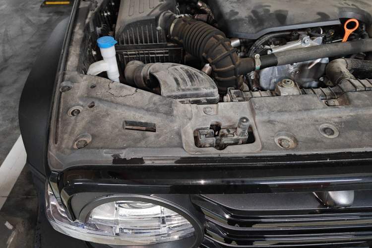 Used Tank 300 2021 Off-Road Edition 2.0T Conqueror
