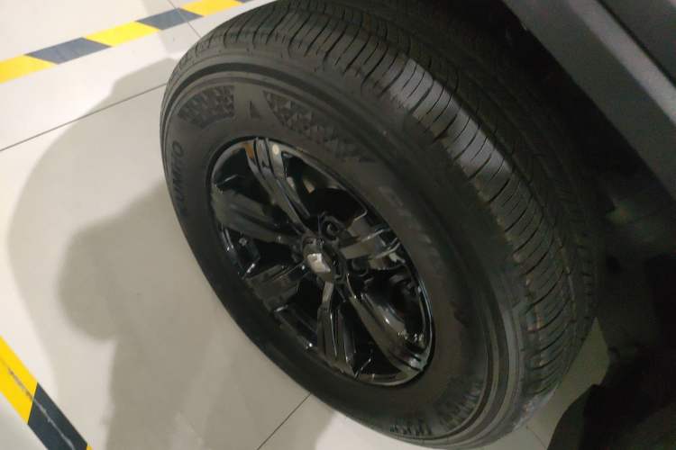 Used Tank 300 2024 2.0T Conqueror
