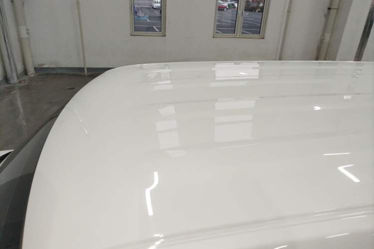 Used  Panda 2024 Panda Mini 200km Endurance Bear
