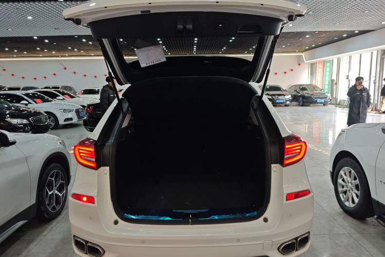 Used Honda Avancier 2020 370TURBO Four-Wheel Drive Premium Edition
