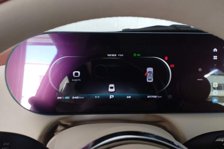 Used ORA Ballet Cat 2022 401 km Nutcracker Edition