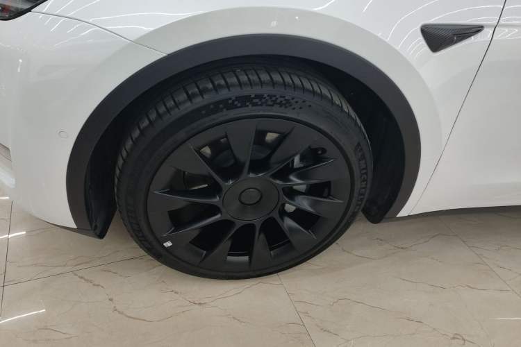 Used Tesla Model Y 2021 Standard Range Rear-Wheel Drive Version
