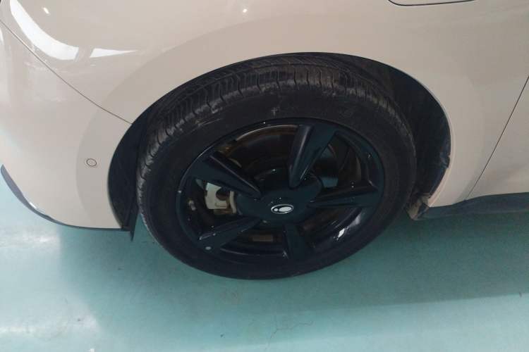 Used ORA Good Cat 2024 401 km Range Luxury Version 135 kW