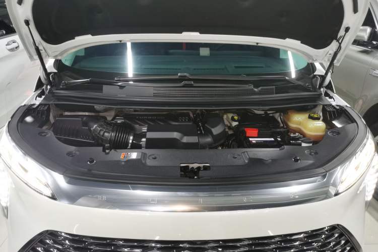 Used Buick Century 2023 2.0T Six-Seater Yinshi Edition
