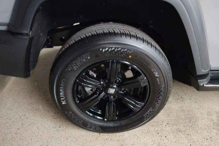 Used Tank 300 2024 2.0T Conqueror
