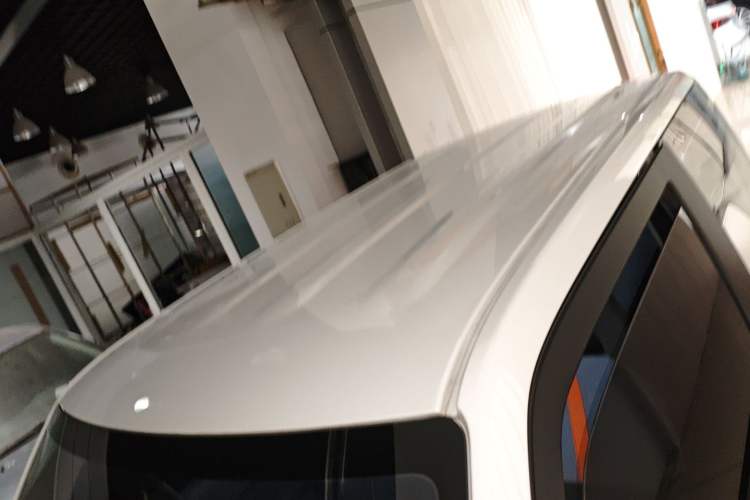 Used  Panda 2024 Panda Mini 200km Endurance Bear