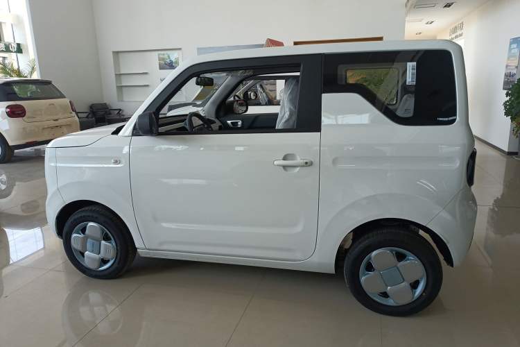 Used  Panda 2024 Panda Mini 200km Endurance Bear
