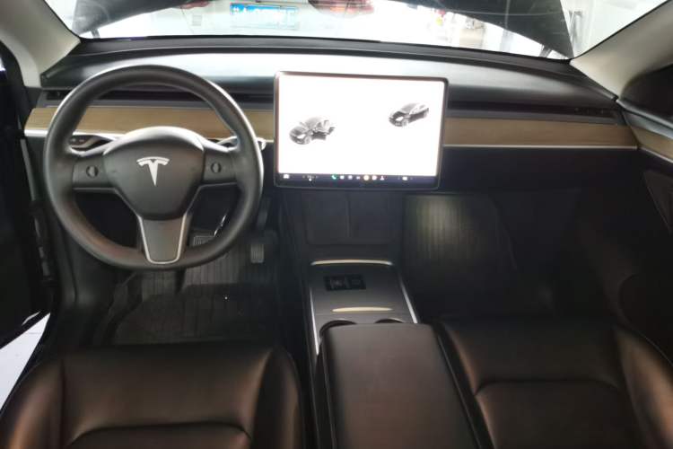 Used Tesla Model Y 2021 Standard Range Rear-Wheel Drive Version
