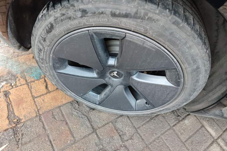 Used Tesla Model 3 2022 Rear-Wheel-Drive Version
