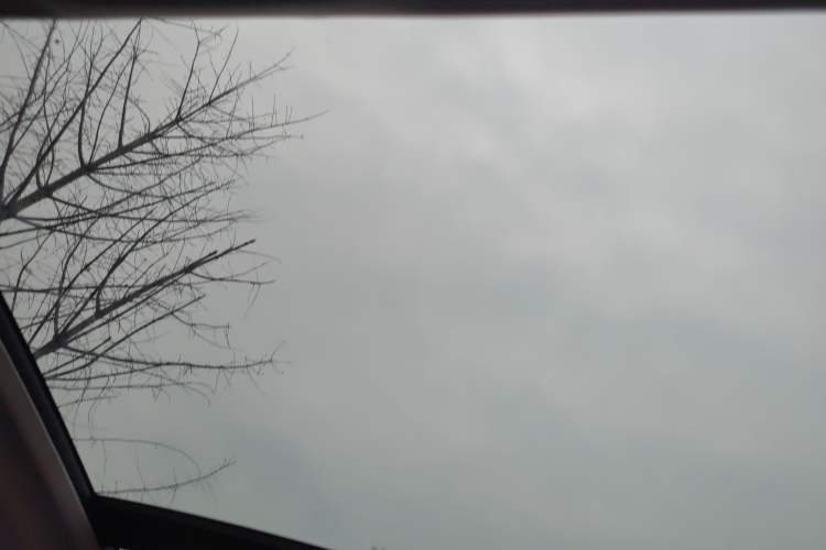 Used Audi Q5 2013 40 TFSI Technology Edition
