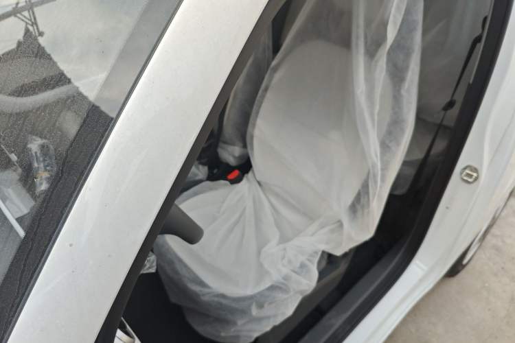 Used  Panda 2025 210 km – Yuanqi Bear