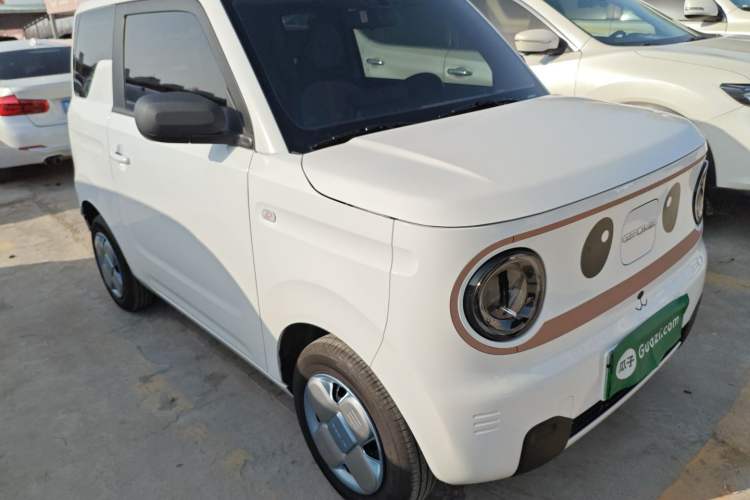 Used  Panda 2024 Panda Mini 200km Endurance Bear