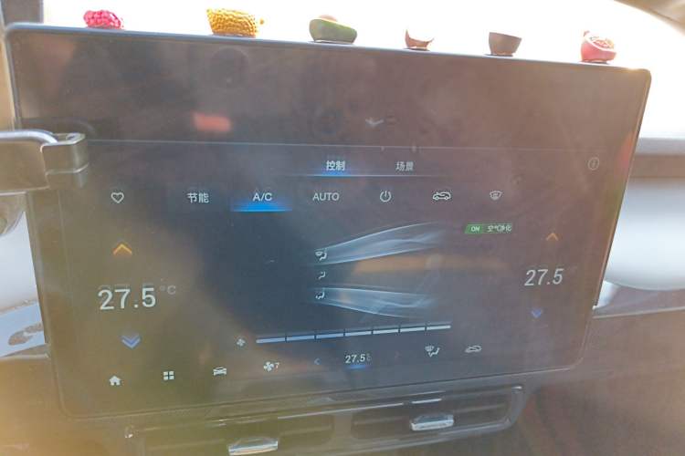 Used AION Y 2022 70 Enjoyment Edition Lithium Iron Phosphate
