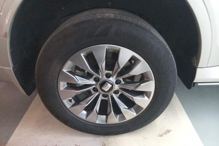 Used Tank 500 New Energy 2023 Hi4-T
