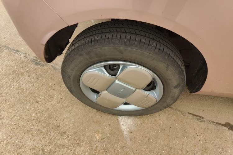 Used  Panda 2023 Panda Mini 200km Endurance Bear
