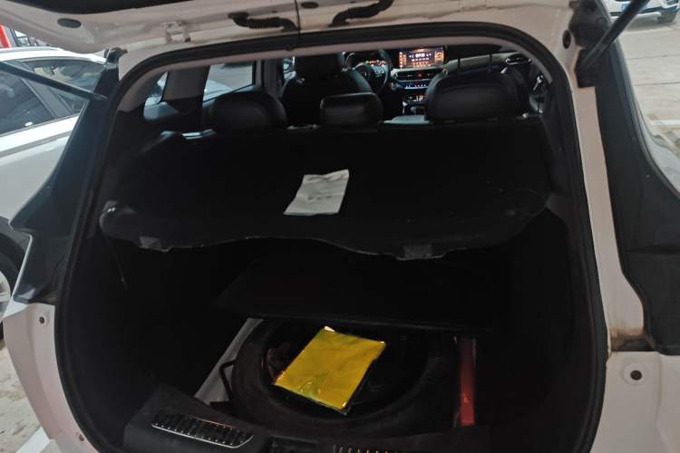 Used Land Rongyao 2020 1.5 GTDI Automatic Smart·Yao
