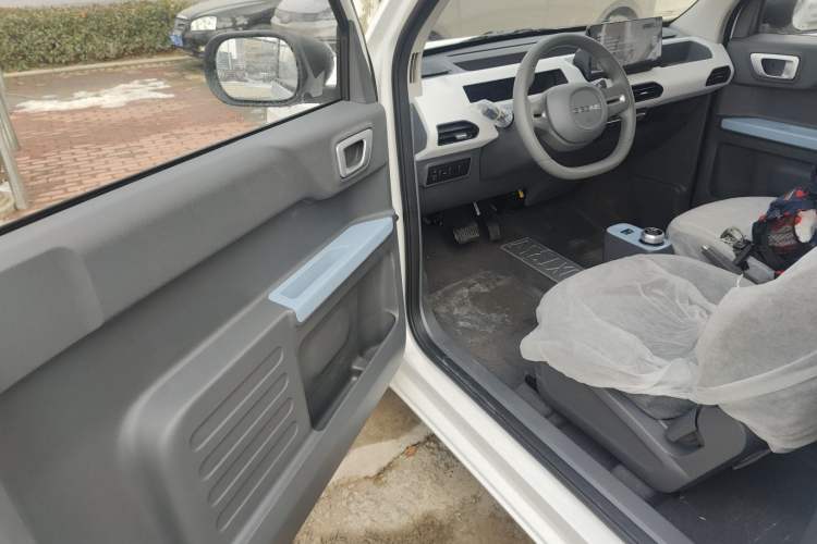 Used  Panda 2024 Panda Mini 200km Endurance Bear
