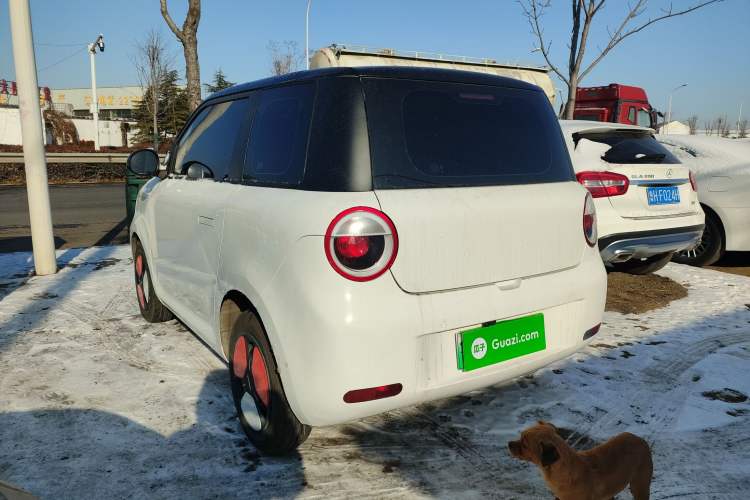 Used  Lumin 2025 205km Refreshing Edition
