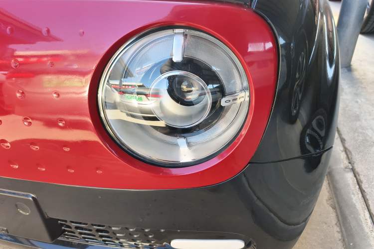 Used ORA Black Cat 2021 301 km Basic Version