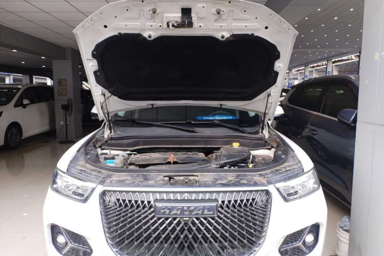 Used Haval H6 2021 1.5 GDIT Automatic Champion Edition
