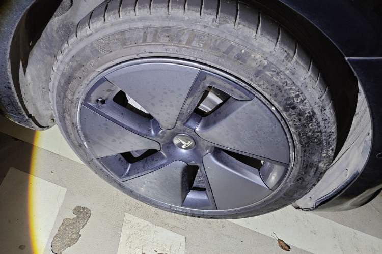 Used Tesla Model 3 2021 Standard Range Rear-Wheel Drive Upgraded Version 3D6
