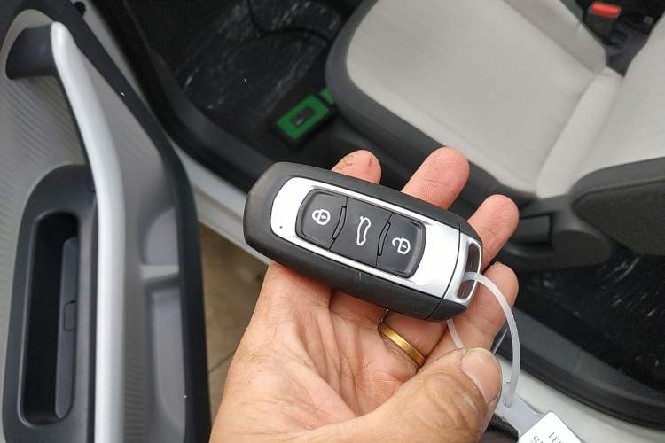 Used  Panda 2025 210 km – Yuanqi Bear
