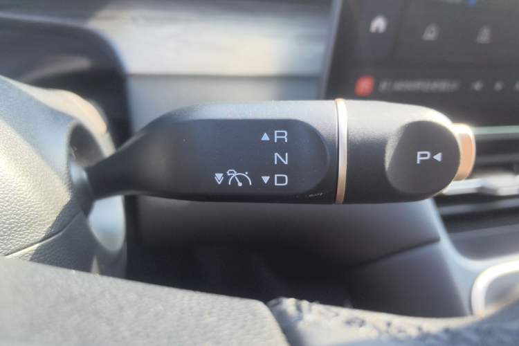 Used Wuling Xingguang S 2024 130 km Flagship Version
