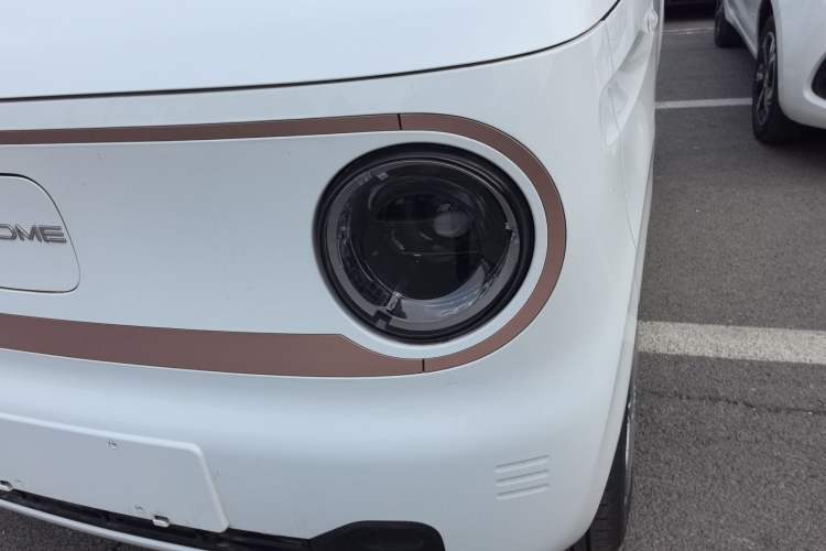 Used  Panda 2024 Panda Mini 200km Endurance Bear
