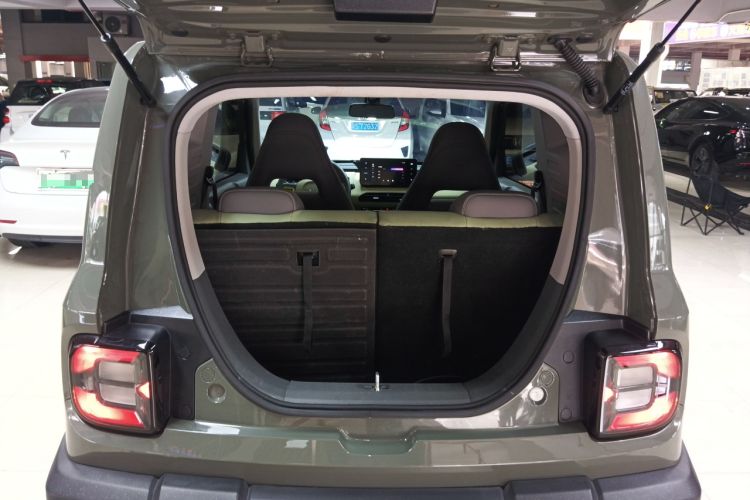 Used  Panda 2024 200km Panda Rider