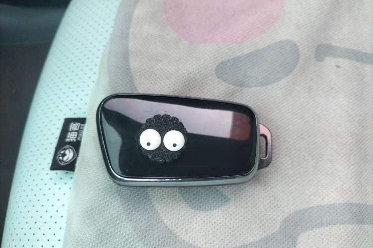 Used Chery Little Ant 2021 200 000-Yuan Ant Fan Edition Energized Version Lithium Iron Phosphate 301 km