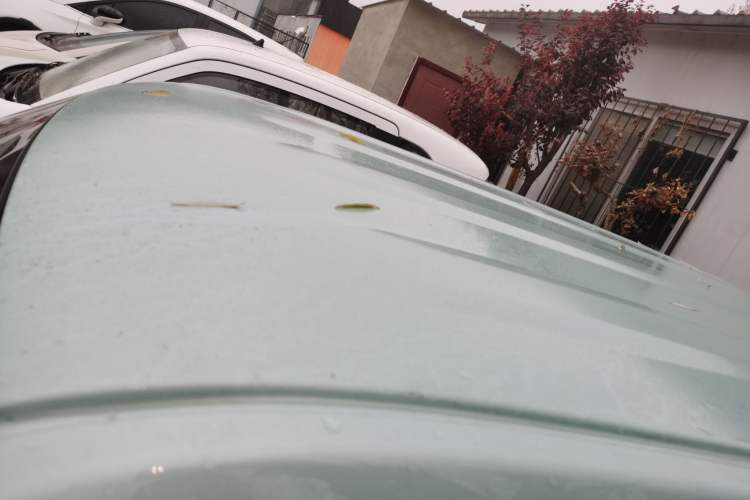 Used  Panda 2023 Panda Mini 200km Endurance Bear
