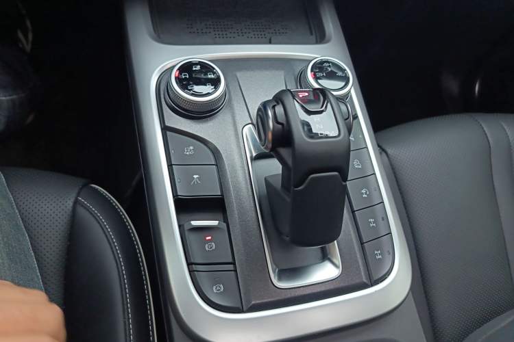 Used Tank 300 2024 2.0T Conqueror