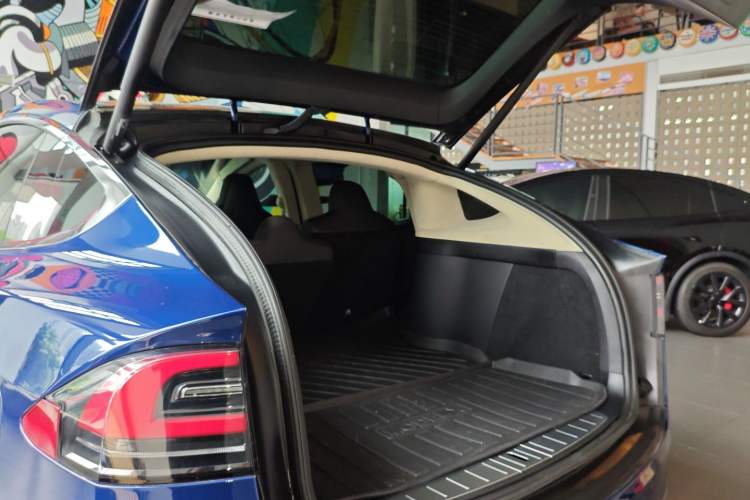 Used Tesla Model X 2017 X 100D Long Range Edition
