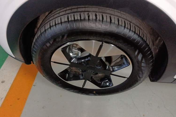 Used  Geome 2025 310km Dream Edition
