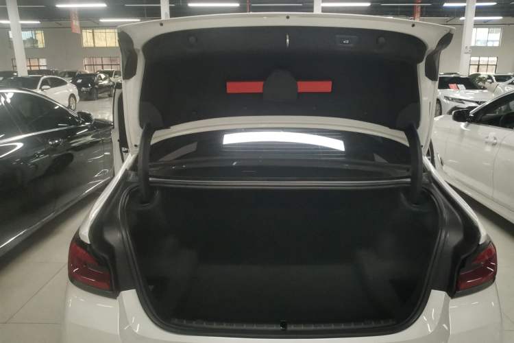 Used BMW 5 Series 2021 530Li Leading Model M Sport Package
