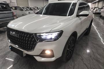 Used Haval H6 2023 National Trend Edition 1.5T Automatic Urban Version