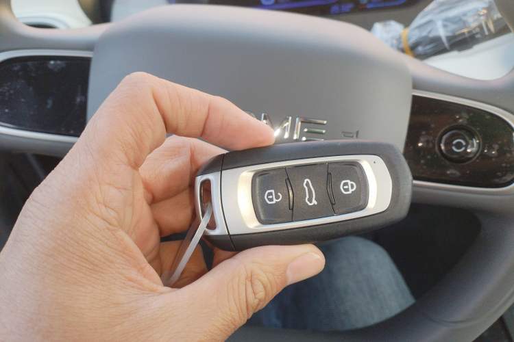 Used  Panda 2025 210 km – Yuanqi Bear
